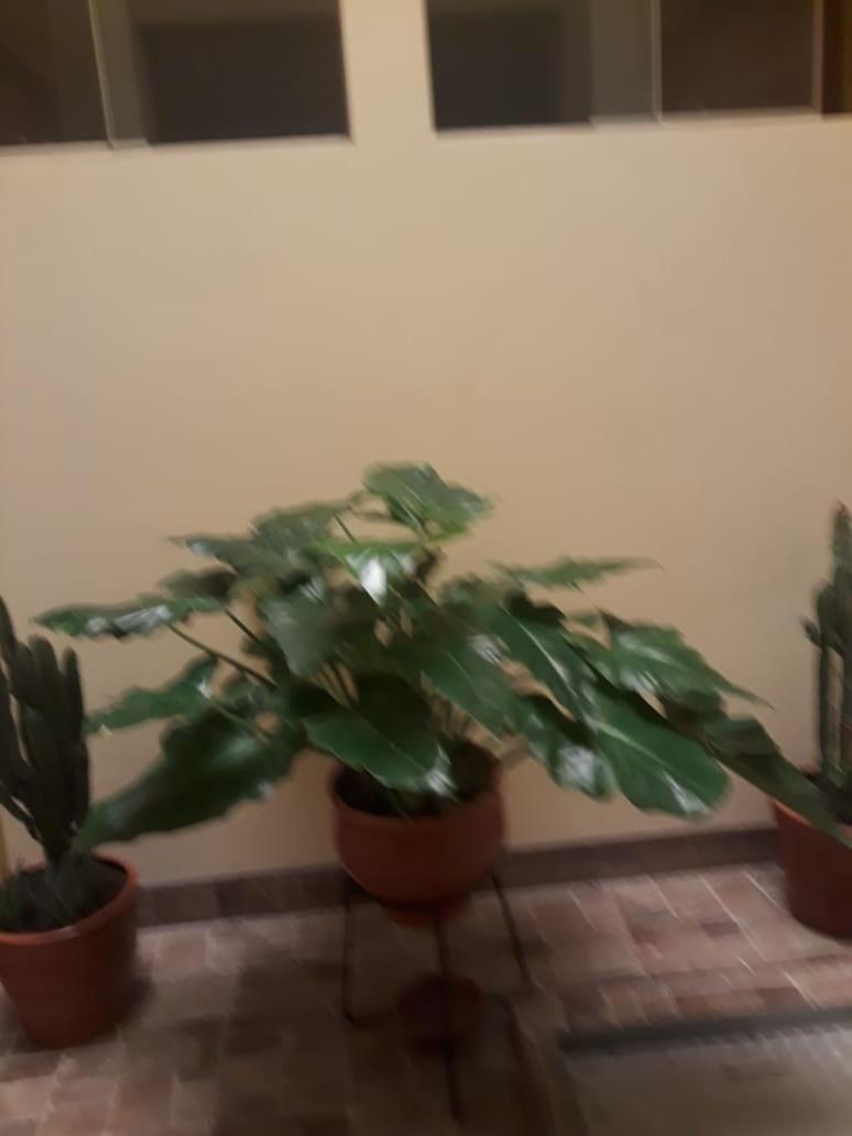 El Marquez Hotell Tacna Exteriör bild